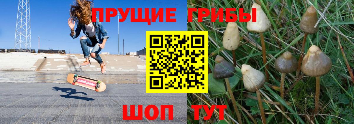 Галлюциногенные грибы прущие грибы  Вход с VPN  Псилоцибиновые грибы Magic Shrooms  Кызыл 
